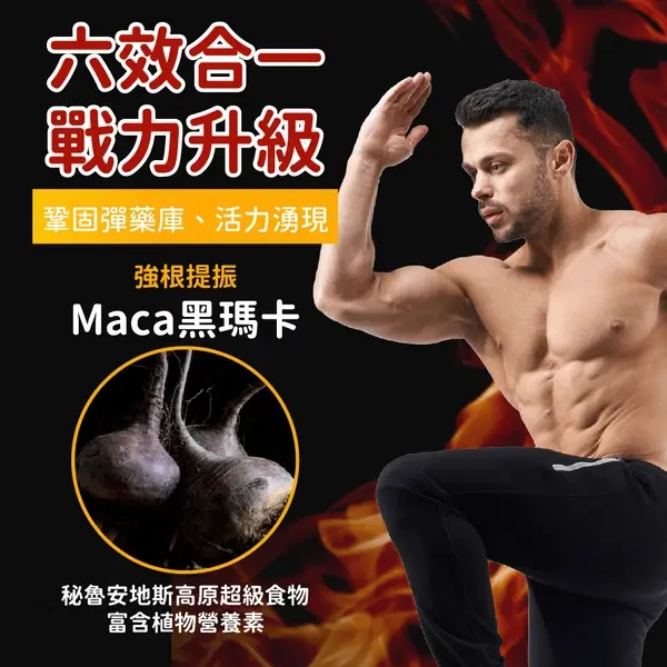 美國CaPower加柏爾 美洲雄鷹錠 圖 3