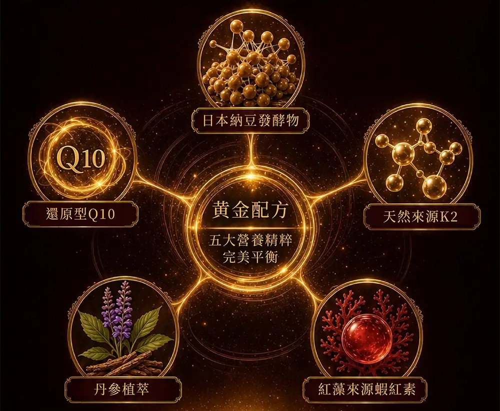 樂氏同仁堂  寶安芯 圖 3