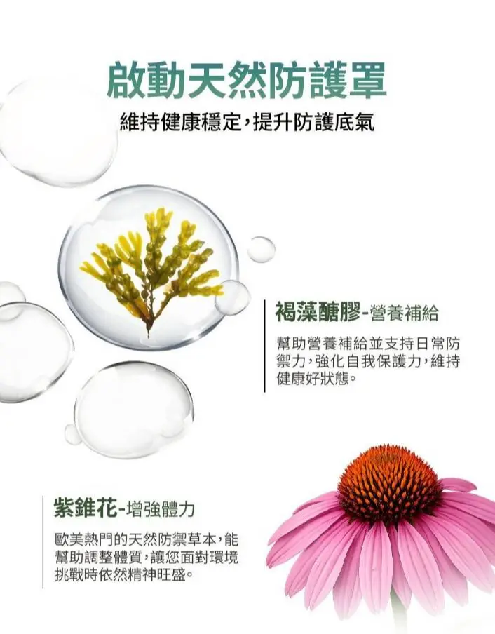 樂氏同仁堂 草本清潤粉 (全素) 圖 3