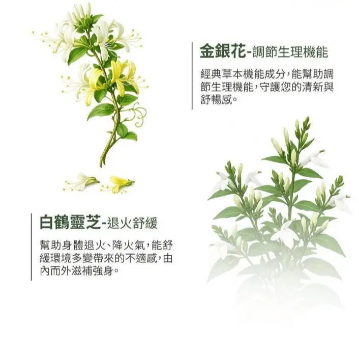 樂氏同仁堂 草本清潤粉 (全素) 圖 4