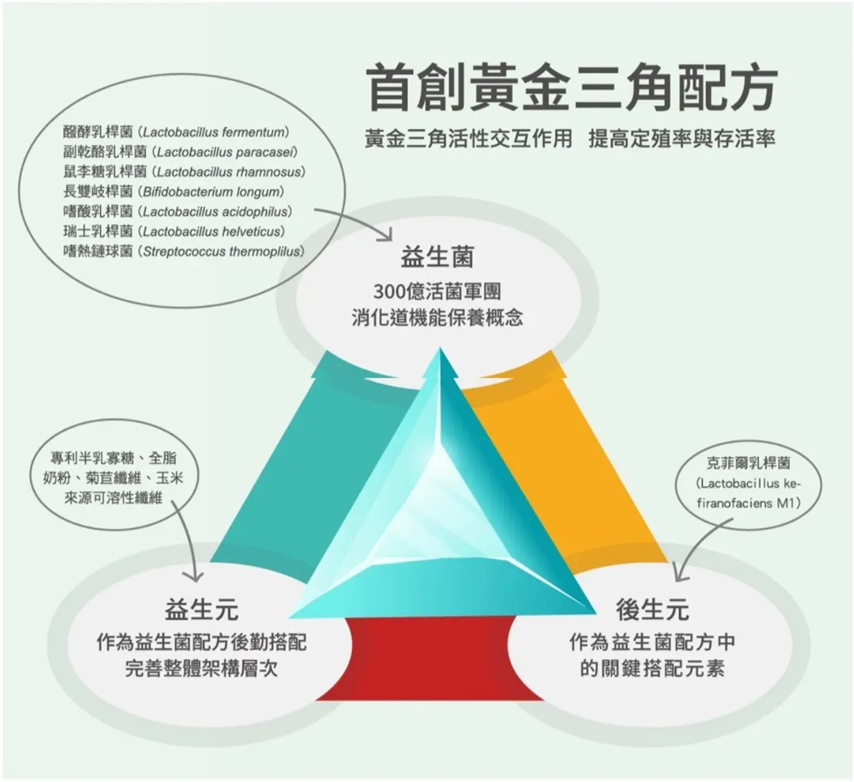 太陽星 全效克菲爾益生菌(3g*30包/盒調整體質、排便順暢益生菌) 圖 3