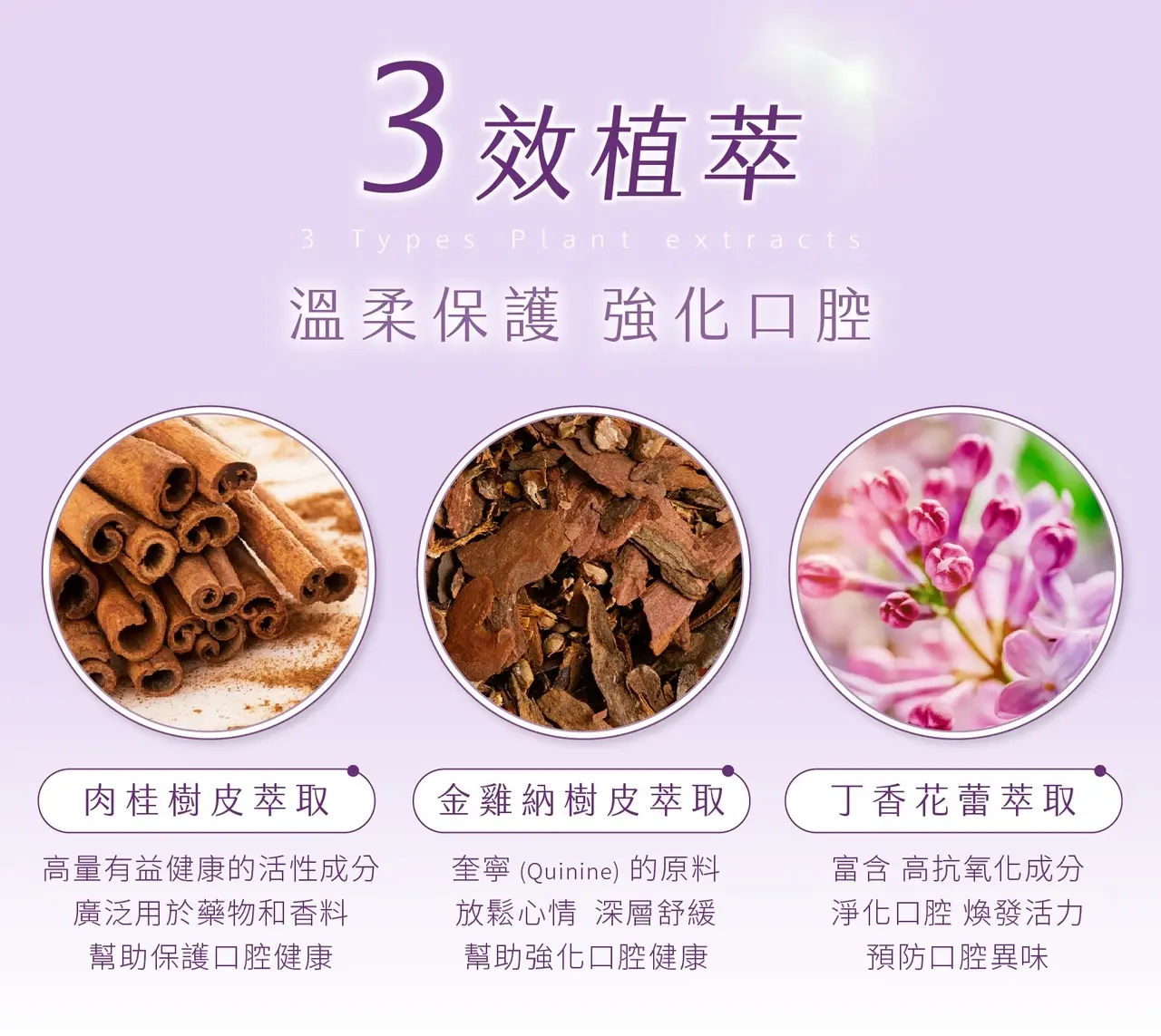 APISERUM 愛比森 草本口腔清新噴劑 圖 5